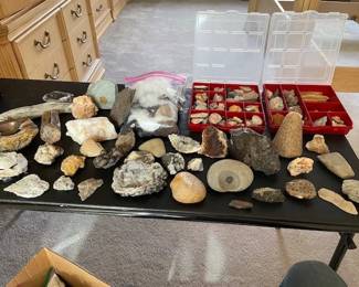 Rocks, Geodes, Fossils