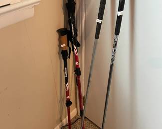 Golf clubs and hiking sticks.