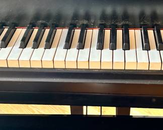 Steinway Grand Piano