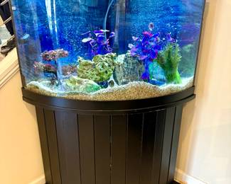 55 Gallon Bowed Fish Aquarium with Fluval  406 Aqua Filter