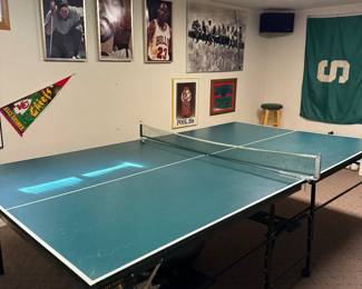 Ping Pong Table