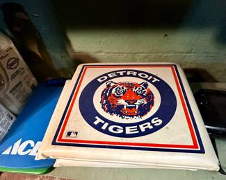Stadium seat cushions.