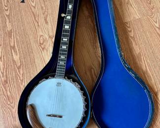Delta blue banjo