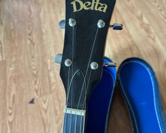 Delta blue banjo