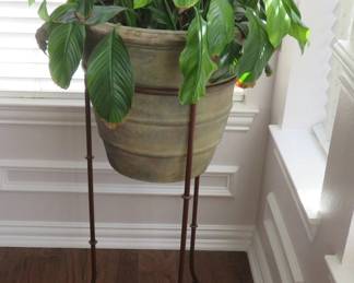 Houseplant