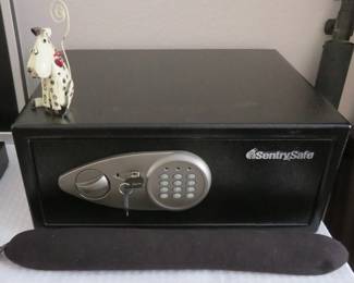 Sentry Safe