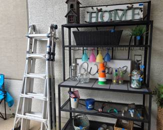 Weber Multi Position Pro Ladder