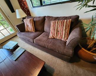 sleeper sofa