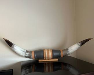 Bull horns