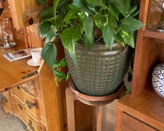 plant & plant stand