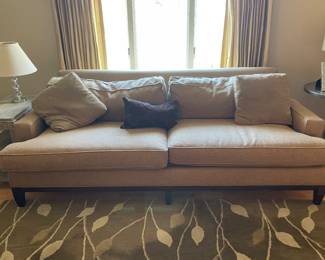 Martha Stewart Sofa & Pottery Barn Rug