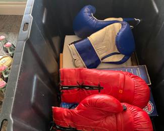 Sports memorabilia, collectors items