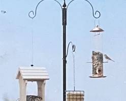 Bird Feeding Station