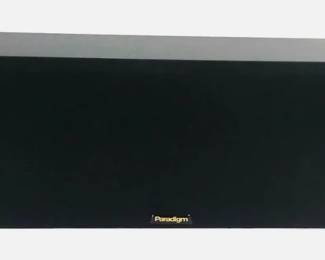 NEW Paradigm Center Channel Speaker