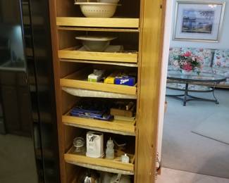 Pantry bottom - shelves pull out