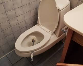 Kohler wall mount commode