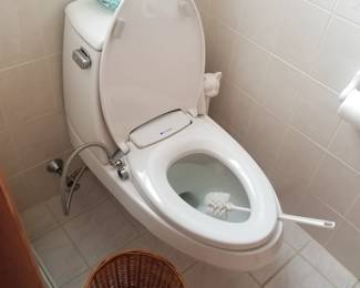 Modern Kohler wall mount commode with bidet