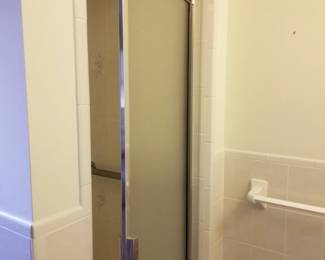 Shower door