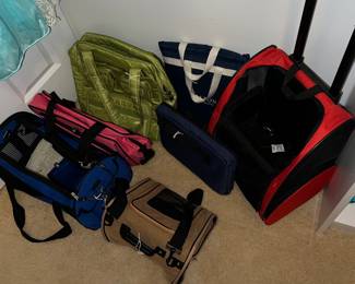 Animal Traveler cases