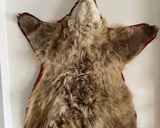 Old Grizzly Bear Rug