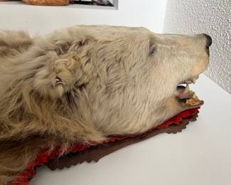 Old Grizzly Bear Rug