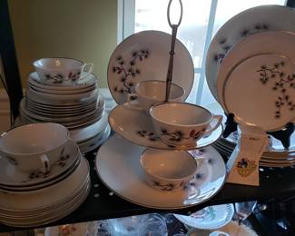 Arcadia Southern Pines