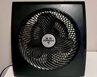 Vornado Fan