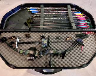 Archery Compound Bow with Arrows and Case