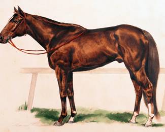 Hand colored lithographs