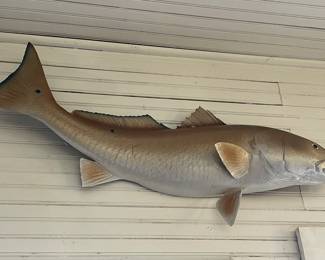 Vintage half mount fish