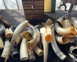 Horns, horns, and more horns