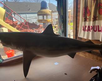 Life size shark wall hanging 
