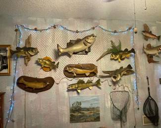 Make sure you pick a fish and take it home