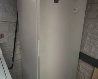 Upright freezer