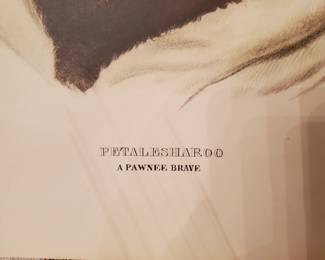 Petalesharoo A Pawnee Brave