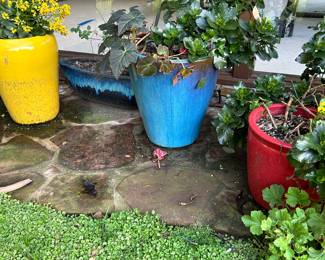 Outdoor planters and plants