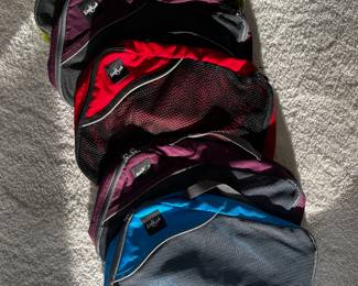 Eagle Creek packing cubes