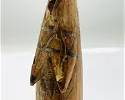 Luba Tribal Carved Wood African Female Seed Pounder Figurine
