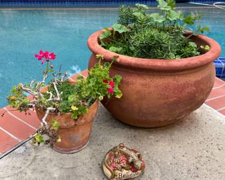 Terracotta Plant Pots
