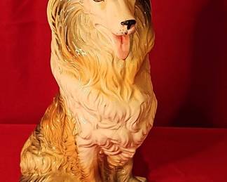 Collie