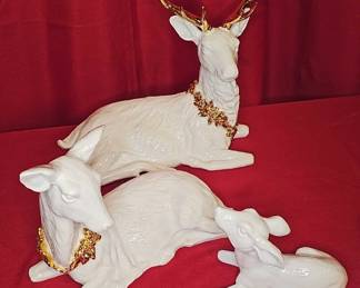 Deer