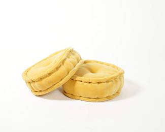 Pair of Velvet Throw Pillow