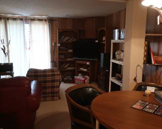 another  view  of  finished  lower  level