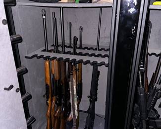 Guns