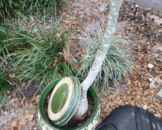 Planter