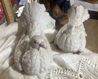 Pair of doves