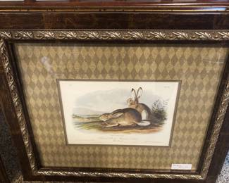 One of four framed rabbit pictures
