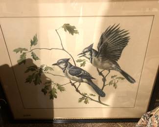 Framed bird art - Artist Conrad Roland