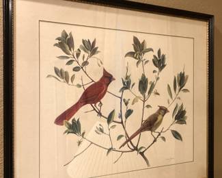 Framed bird art - Artist Conrad Roland