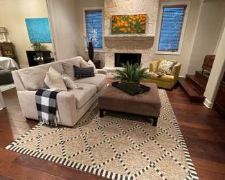 American Leather Co -Comfort Sofabed - 350.00